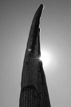 Fotografia de ALES PRIETO - Galeria Fotografica: paisaje - Foto: zapotitlan de las salinas 2