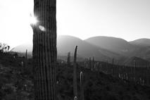 Fotografia de ALES PRIETO - Galeria Fotografica: paisaje - Foto: zapotitlan de las salinas 3