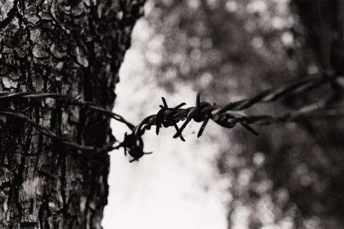 Fotografia de ALES PRIETO - Galeria Fotografica: paisaje - Foto: simple