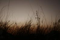 Fotografia de ALES PRIETO - Galeria Fotografica: paisaje - Foto: aire