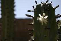 Fotografia de ALES PRIETO - Galeria Fotografica: paisaje - Foto: una