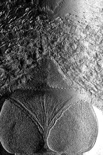 Fotografia de L�zaro Sandoval M. Fot�grafo - Galeria Fotografica: Desnudos Nuevos - Foto: 