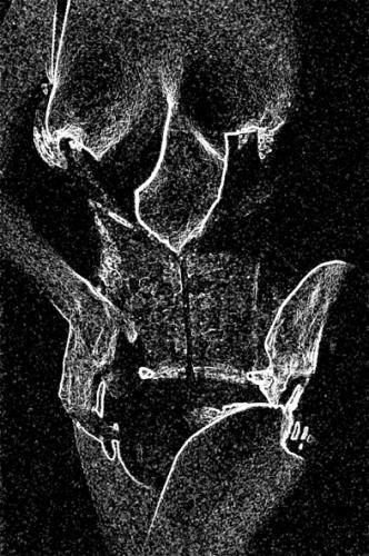 Fotografia de L�zaro Sandoval M. Fot�grafo - Galeria Fotografica: Desnudos Nuevos - Foto: Fieltros