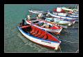 Fotos de J. Daniel -  Foto: Barcas - En puerto