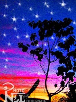 Fotografia de photonel - Galeria Fotografica: ARTE FOTOGRAFICO DIGITAL - Foto: 