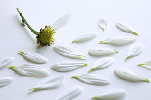 Fotografia de Nando Iglesias Fotografa - Galeria Fotografica: publicidad / catlogo - Foto: 