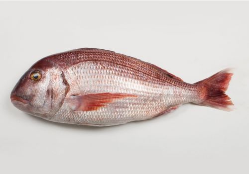 Fotografia de Nando Iglesias Fotografa - Galeria Fotografica: publicidad / catlogo - Foto: 