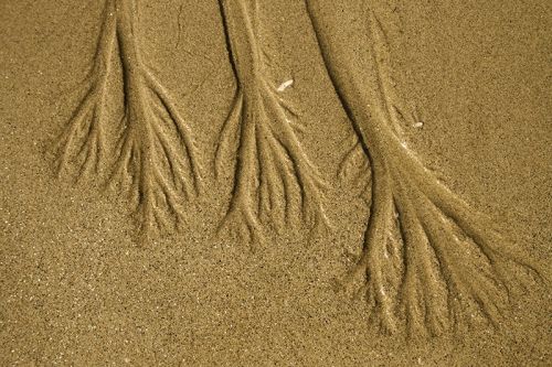 Fotografia de Nando Iglesias Fotografa - Galeria Fotografica: editirial - Foto: 