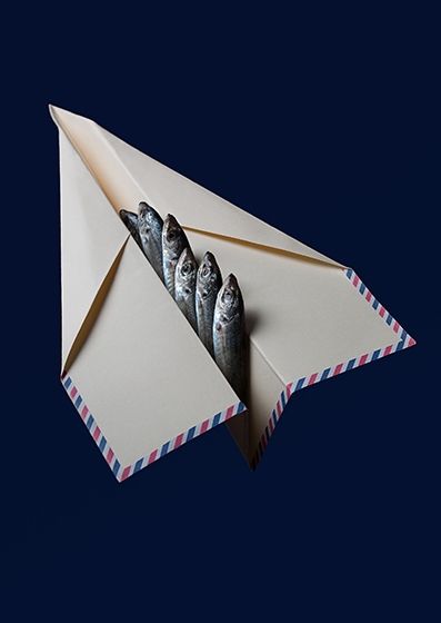 Fotografia de Nando Iglesias Fotografa - Galeria Fotografica: editirial - Foto: 