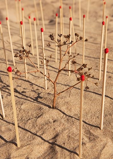 Fotografia de Nando Iglesias Fotografa - Galeria Fotografica: editirial - Foto: 