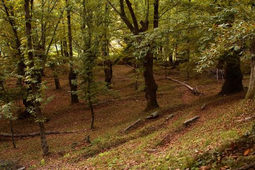 Fotografia de Nando Iglesias Fotografa - Galeria Fotografica: paisaje - Foto: 