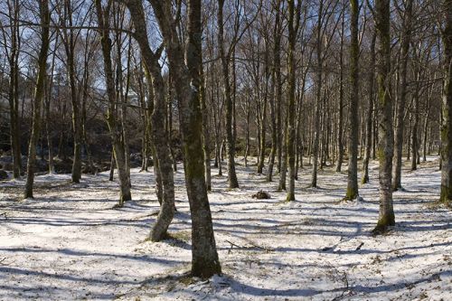 Fotografia de Nando Iglesias Fotografa - Galeria Fotografica: paisaje - Foto: 