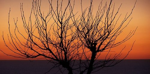 Fotografia de Nando Iglesias Fotografa - Galeria Fotografica: paisaje - Foto: 