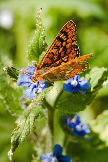 Fotografia de Nando Iglesias Fotografa - Galeria Fotografica: paisaje - Foto: 