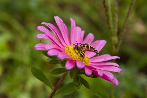 Fotografia de Nando Iglesias Fotografa - Galeria Fotografica: paisaje - Foto: 