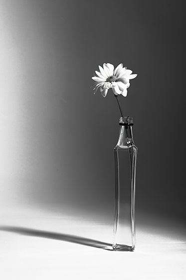 Fotografia de Nando Iglesias Fotografa - Galeria Fotografica: personal - Foto: 