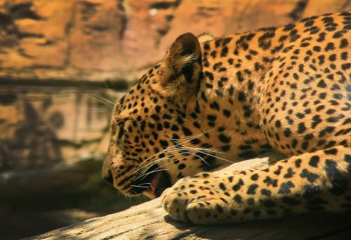 Fotografia de IvanGomez - Galeria Fotografica: Natura - Foto: 