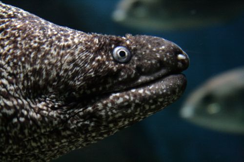 Fotografia de IvanGomez - Galeria Fotografica: Natura - Foto: 