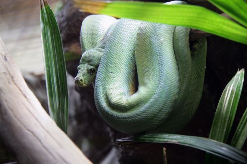 Fotografia de IvanGomez - Galeria Fotografica: Natura - Foto: 