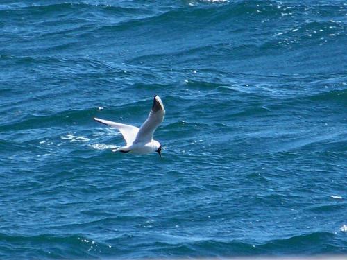 Fotografia de Fernando - Galeria Fotografica: DIAS AL SOL - Foto: SALIDA A PESCAR