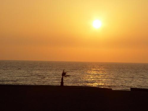 Fotografia de sinfin - Galeria Fotografica: tema libre - Foto: atardecer