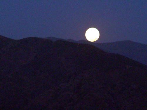 Fotografia de sinfin - Galeria Fotografica: en la noche - Foto: luna
