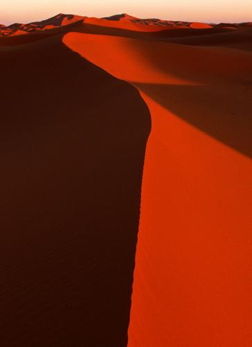 Fotografia de javier gonz�lez - Galeria Fotografica: Ut�pica o el amor de los pares en la Naturaleza - Foto: Rojo y Negro