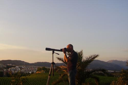 Fotografia de cotallo-nonocot - Galeria Fotografica: cotallo-nonocot - Foto: insectos.