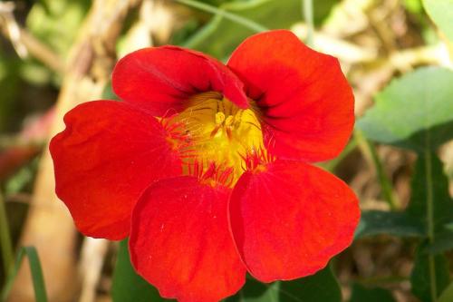 Fotografia de Fernando - Galeria Fotografica: DIAS AL SOL - Foto: Al calor de los primeros soles...