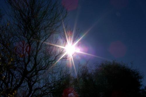 Fotografia de Fernando - Galeria Fotografica: DIAS AL SOL - Foto: contraluz