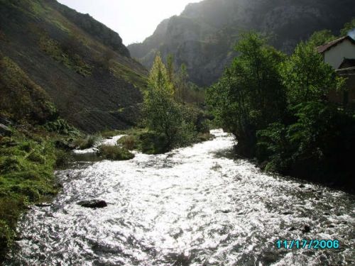 Fotografia de andabru - Galeria Fotografica: mundos diversos - Foto: destellos de vida