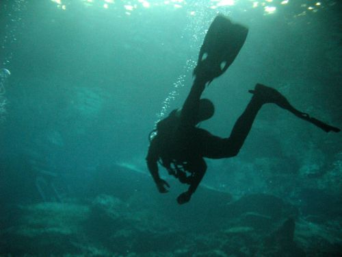 Fotografia de Melita - Galeria Fotografica: Fotosub - Foto: 