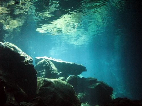 Fotografia de Melita - Galeria Fotografica: Fotosub - Foto: 