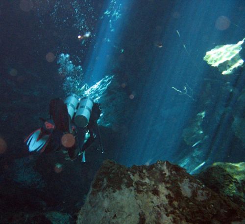 Fotografia de Melita - Galeria Fotografica: Fotosub - Foto: 