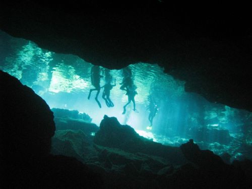 Fotografia de Melita - Galeria Fotografica: Fotosub - Foto: 