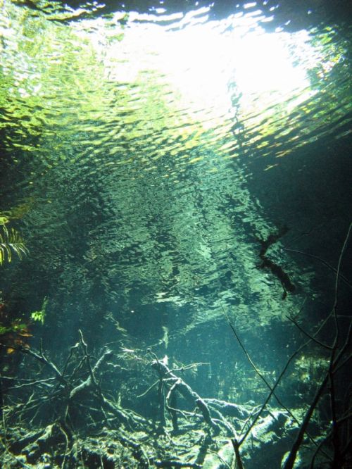 Fotografia de Melita - Galeria Fotografica: Fotosub - Foto: 