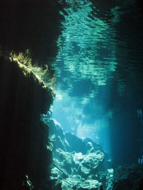 Fotografia de Melita - Galeria Fotografica: Fotosub - Foto: 