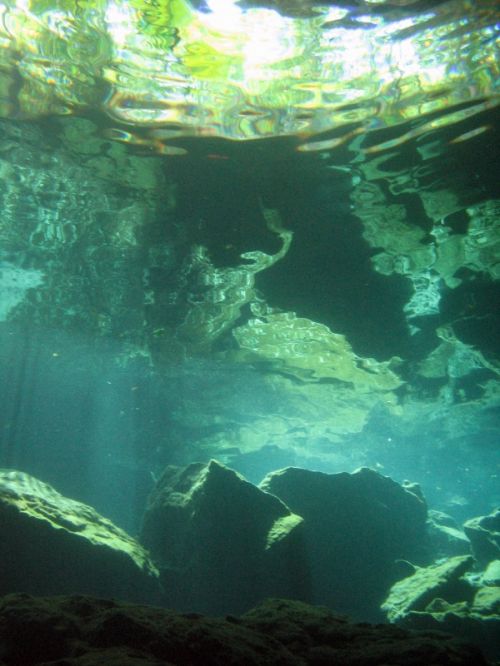 Fotografia de Melita - Galeria Fotografica: Fotosub - Foto: 