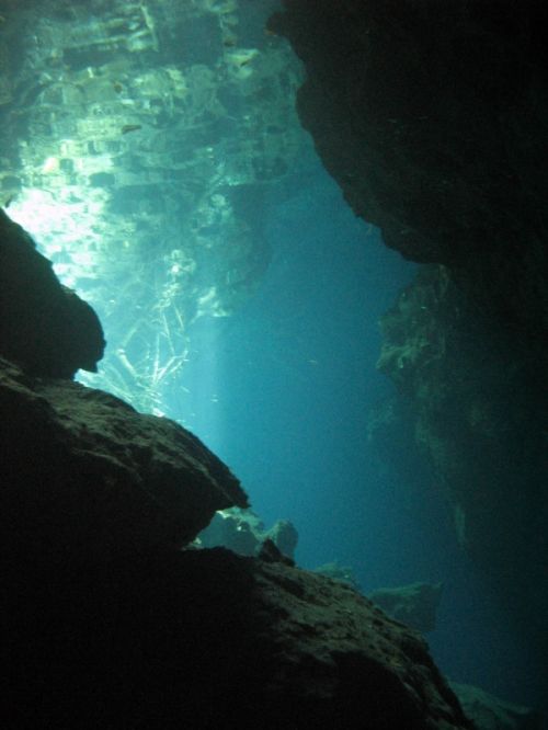 Fotografia de Melita - Galeria Fotografica: Fotosub - Foto: 