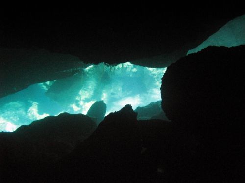 Fotografia de Melita - Galeria Fotografica: Fotosub - Foto: 