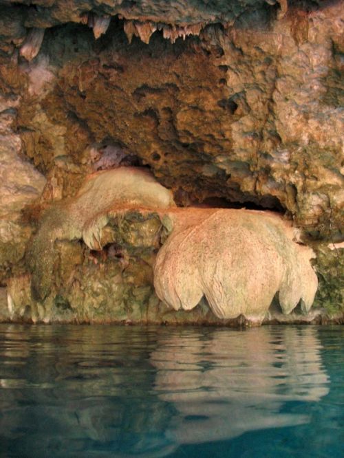 Fotografia de Melita - Galeria Fotografica: Fotosub - Foto: 