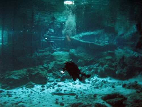 Fotografia de Melita - Galeria Fotografica: Fotosub - Foto: 