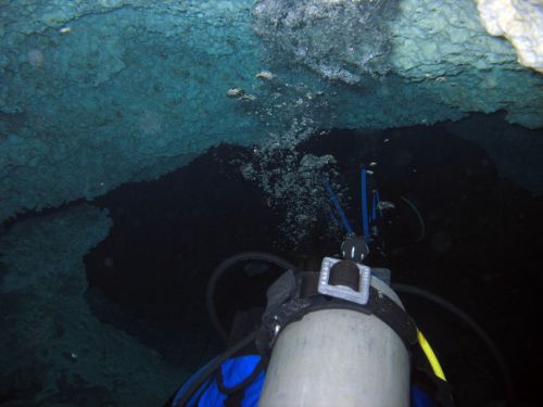 Fotografia de Melita - Galeria Fotografica: Fotosub - Foto: 