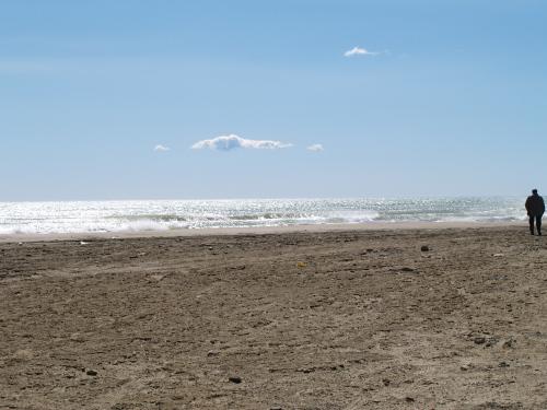 Fotografia de davinXi - Galeria Fotografica: DeltaEbre - Foto: Playa1