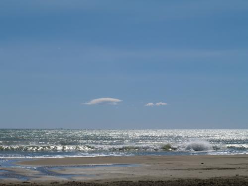 Fotografia de davinXi - Galeria Fotografica: DeltaEbre - Foto: Playa2