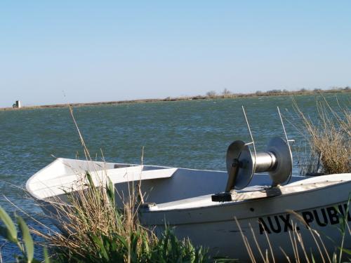 Fotografia de davinXi - Galeria Fotografica: DeltaEbre - Foto: Barca2