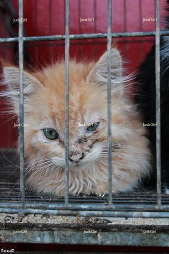 Fotografia de JunkGirl - Galeria Fotografica: Abstracto ntido - Foto: Perdido en el limbo