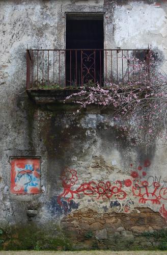 Fotografia de Jos Luis - Galeria Fotografica: Santiago de Compostela, Otra visin - Foto: 