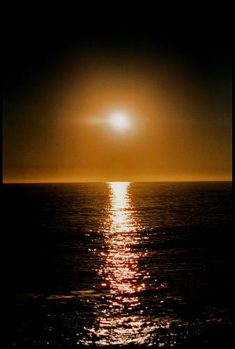 Fotografia de andrea - Galeria Fotografica: un poco de  mi arte - Foto: brillos de sol