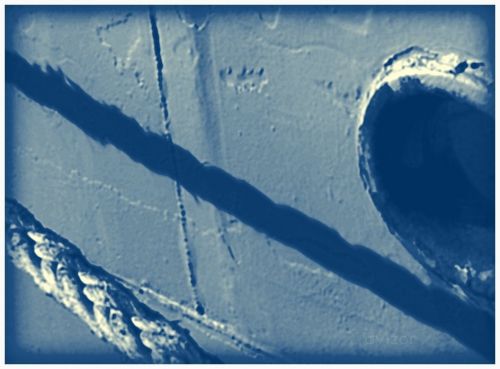 Fotografia de berta zea - Galeria Fotografica: berta zea fotogaler�a - Foto: Blue Vessel